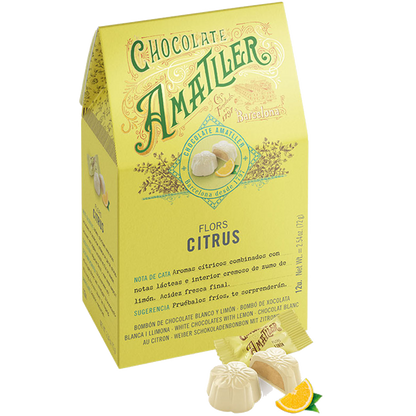 Box with 9 Amatller Pralines Assorted