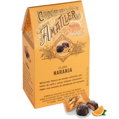 Box with 9 Amatller Pralines Assorted